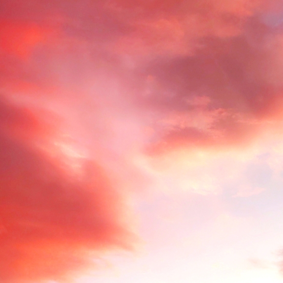 Meet your Posher, Danielle - Picture 1 of 1